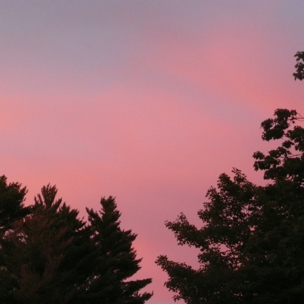 Meet your Posher, Shari